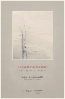 Lo que las flores callan