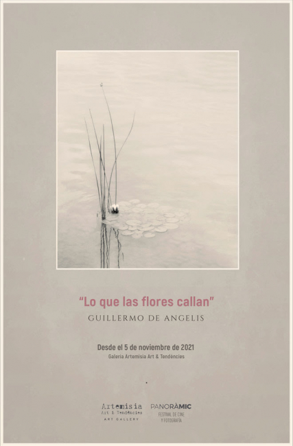 Guillermo De Angelis. Lo que las flores que callan