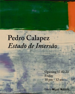 Pedro Calapez. Estado de Imersão