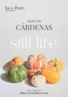 Marcos Cárdenas. Still life