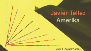 Javier Téllez. Amerika