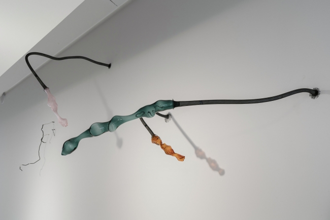 Lara Fluxa?, Salc, 2018. Credits de Grimalt de Blanch
