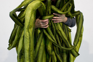 Un encuentro vegetal - Detalle de A Great Seaweed Day: Gut  Weed (Ulva Intestinalis), Ingela Ihrman,  2019