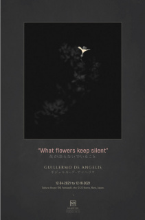 Guillermo De Angelis. What flowers keep silent