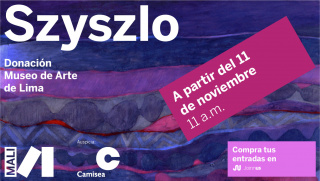 Szyszlo. Donación Museo de Arte de Lima