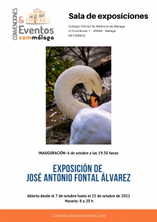 Exposición JOSÉ ANTONIO FONTAL ÁLVAREZ