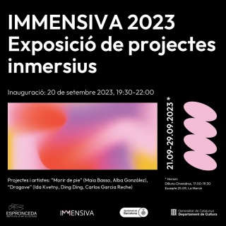 Immensiva Expanded Experience Show