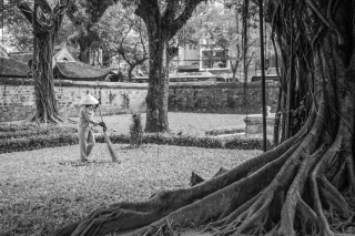 Fernando Pérez Moreno, Jardines de otoño de la serie "Trabajadores vietnamitas" – Cortesía de Fotonoviembre 2017