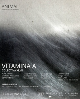 Vitamina A. Colectiva XLVI