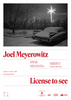 Galeria Alta. Joel Meyerowitz. License to See.