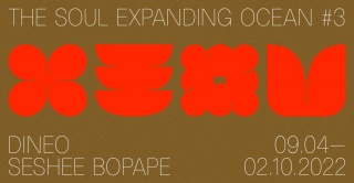 The Soul Expanding Ocean #3: Dineo Seshee Bopape