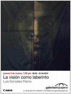 Luis González Palma, La visión como laberinto