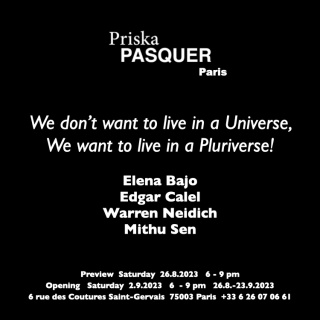 We don’t want to live in a Universe, We want to live in a Pluriverse!