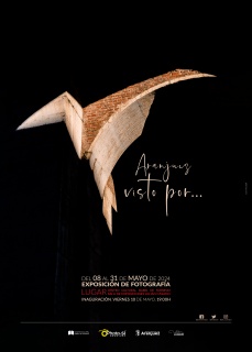 Cartel de Exposición "Aranjuez, Visto por..."