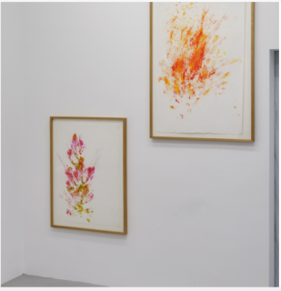 Beyond the Painting / Unrejected Wild Flora