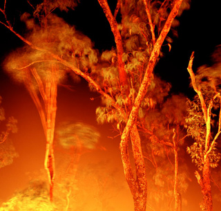 Fire II, (Australia), 2007  80 x 80 cm.