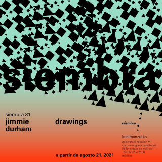 Siembra 31: Jimmie Durham. Dibujos