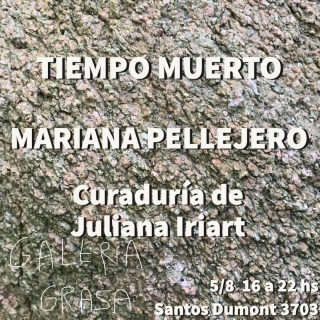 Mariana Pellejero. Tiempo muerto