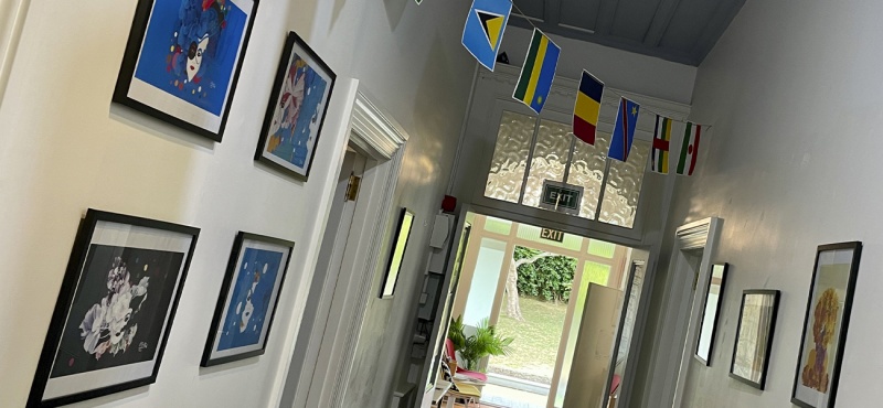 Exposición de Houda Bakkali en la Alianza Francesa de Auckland, Nueva Zelanda