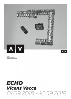 Vicens Vacca. Echo