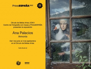 Ana Palacios. Armonía