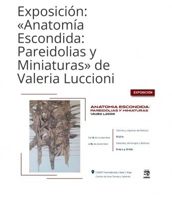 Anatomia escondida: Pareidolias y Miniaturas