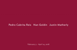 Pedro Cabrita Reis Nan Goldin Justin Matherly