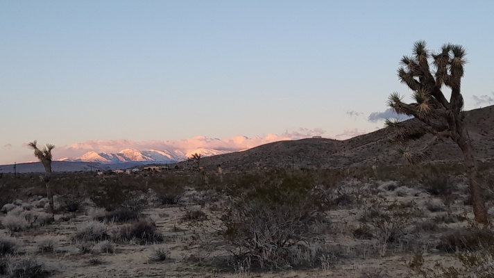 YVML-High Desert (CA, USA) Art Residence 2025