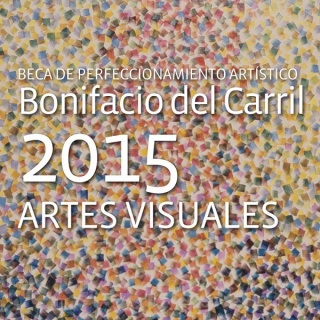 Beca de perfeccionamiento artístico Bonifacio del Carril 2015