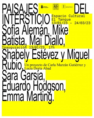 Paisajes del Intersticio
