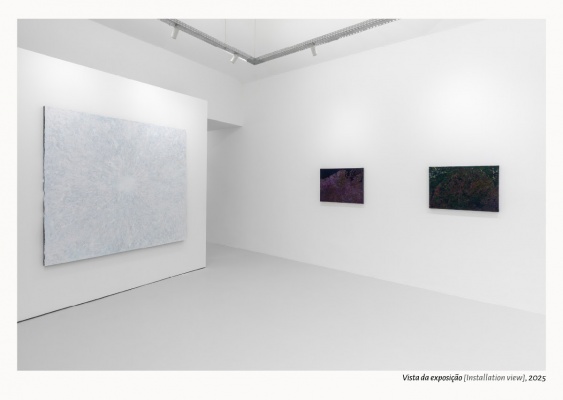 Arorá. Abertura, Vista de la exposición — Imagen cortesía de Quadra
