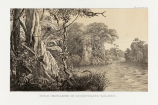 As margens das ilhas do arquipélago paraense, c.1855. Litografia de Carl Friedrich Philipp von Martius / Coleção Martha e Erico Stickel / Acervo IMS