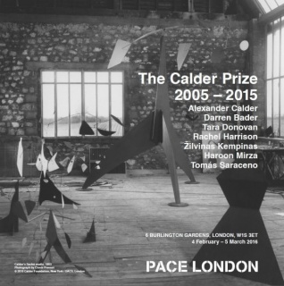 The Calder Prize 2005 - 2015
