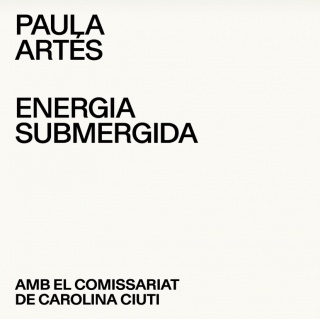 Paula Artés, Energia submergida