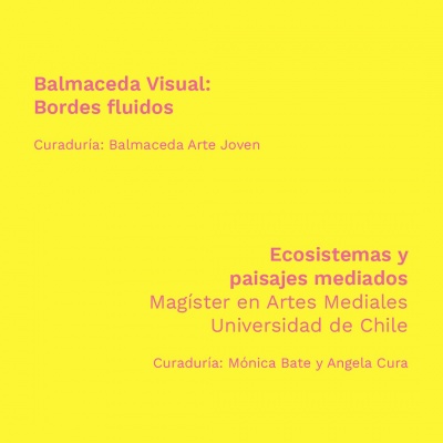 Balmaceda Visual: Bordes fluidos // Ecosistemas y paisajes mediados. Magíster en Artes Mediales UChile