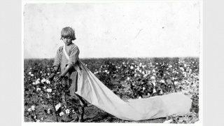 Lewis W. Hine, Norma Lawrence is 10 years old and picks from 100 to 150 pounds of cotton a day..., Comanche County, Oklahoma, 1916 Oct. Library of Congress Prints and Photographs Division, LC-DIG-nclc-00608 [P&P] — Cortesía del Museo Reina Sofía