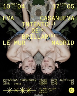 Intento de brillar: Breve ensayo sobre el parecer exterior y el padecer interior