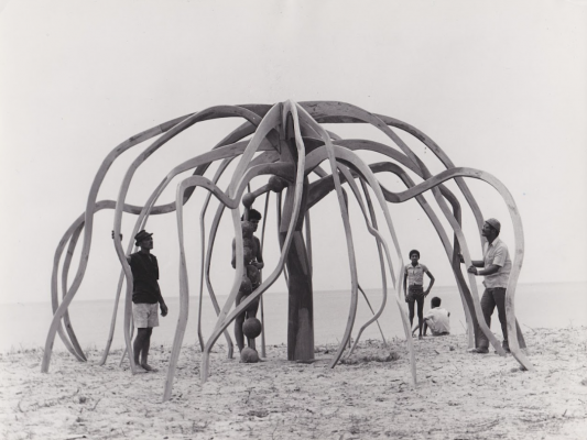 Frans Krajcberg, A flor do mangue, circa 1970. Instituto do Patrimônio Artístico e Cultural da Bahia (IPAC)  Foto: Autoria desconhecida