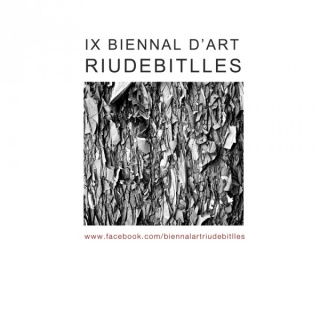 IX Biennal d´art Riudebitlles. Obra sobre paper