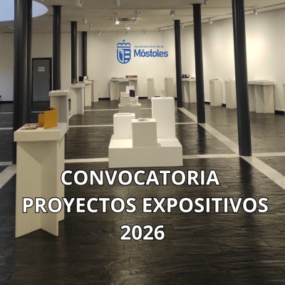 Convocatoria para la presentación y selección de proyectos expositivos ...