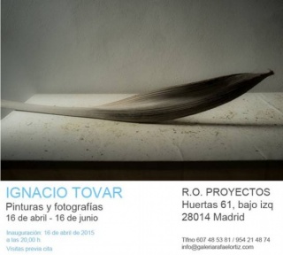 Ignacio Tovar, Pinturas y fotografías