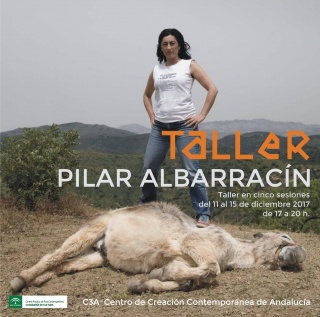 Taller Pilar Albarracín