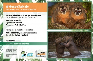 Museo Salvaje: Una Mirada de la biodiversidad