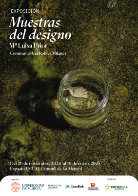 Muestras del designo