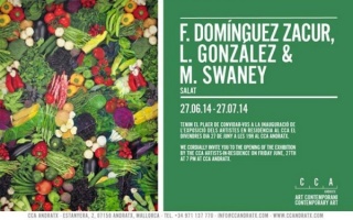 F. Domínguez Zacur, L. González & M. Swaney