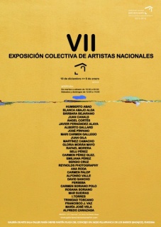VII Exposición Colectiva de Artistas Nacionales