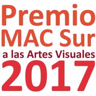 Premio MACSUR a las Artes Visuales 2017