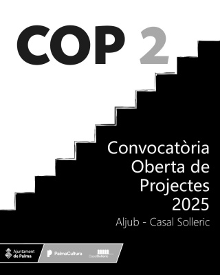 COP 2 - Convocatòria Oberta de Projectes 2025 Casal Solleric