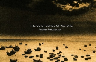 The quiet sense of nature
