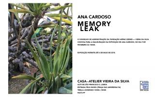 Ana Cardoso. Memory Leak